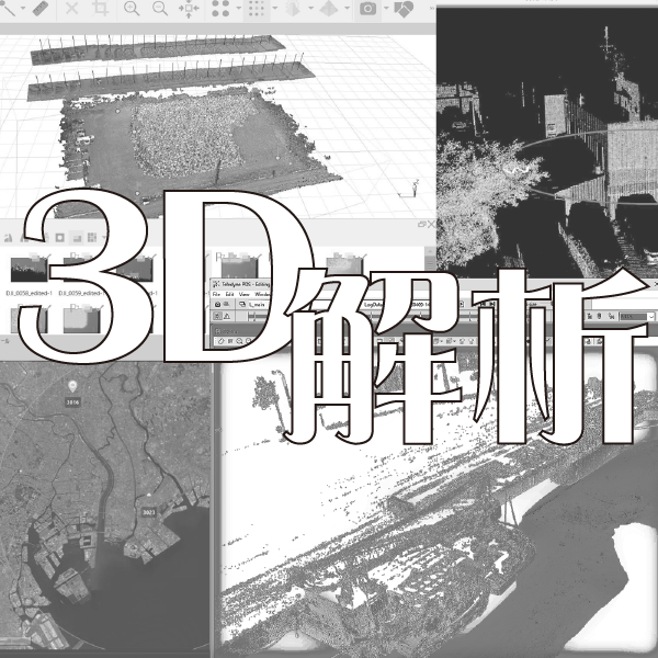 3D解析ページを開くボタン